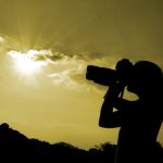 Sites com Fotos e Royalties Grátis